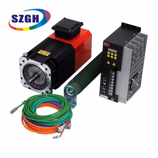 Servomotore 220 V 55 kW Servomotore mandrino integrato